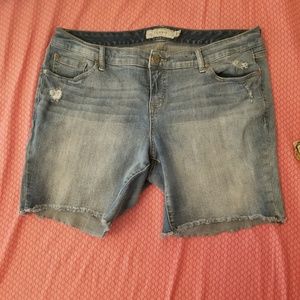 Torrid denim shorts